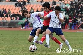 塞尔达无双翻译揭示林克与塞尔达仅是朋友