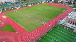 LOL美测服8月6日英雄调整速览：布兰德野区霸主地位再强化，佛耶戈Q技能全面重做