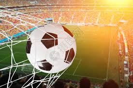 大谷翔平在 2025 年常规赛前夕表示：棒球是我生命的一部分，而你们（球迷）是另一半